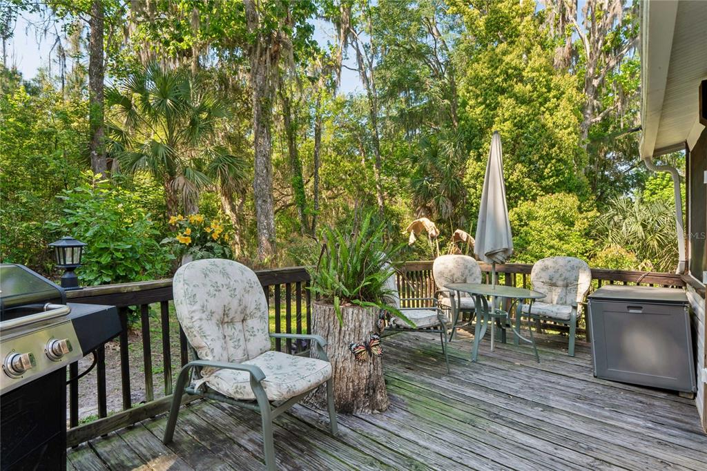 20424 Marguerite Road Brooksville, FL 34601 - Photo 54 of 91