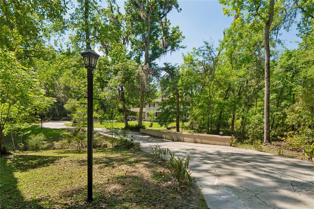 20424 Marguerite Road Brooksville, FL 34601 - Photo 64 of 91