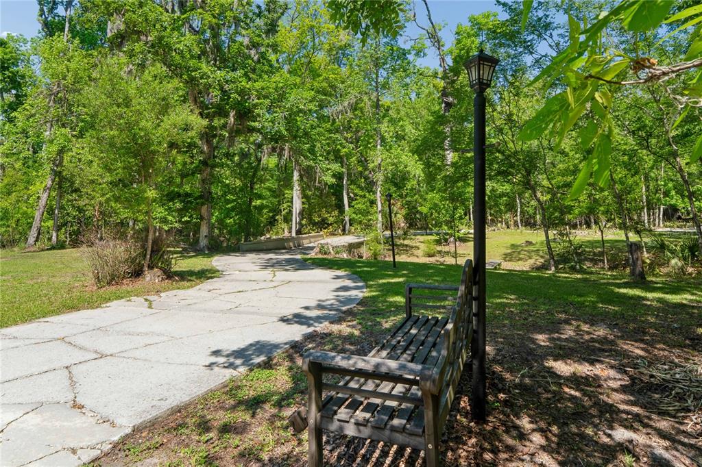 20424 Marguerite Road Brooksville, FL 34601 - Photo 68 of 91