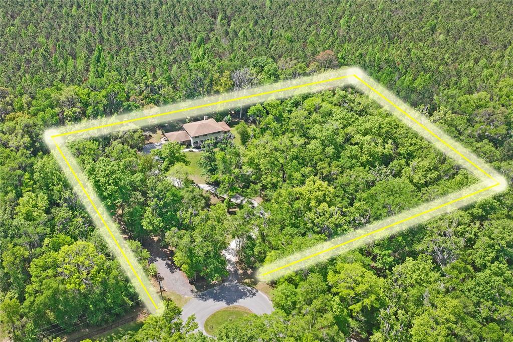 20424 Marguerite Road Brooksville, FL 34601 - Photo 79 of 91