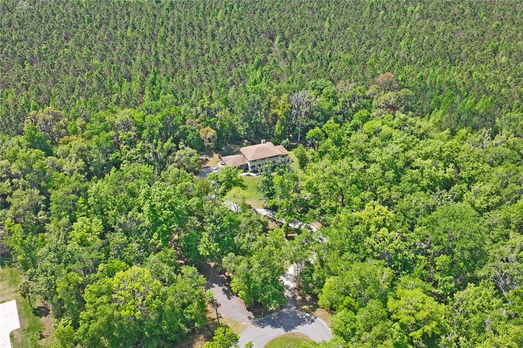 20424 Marguerite Road Brooksville, FL 34601 - Photo 80 of 91