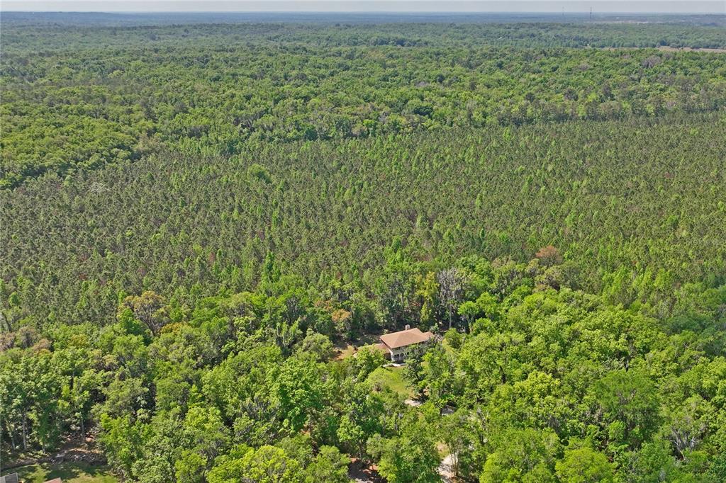 20424 Marguerite Road Brooksville, FL 34601 - Photo 82 of 91