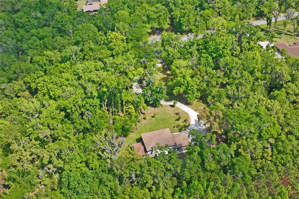 20424 Marguerite Road Brooksville, FL 34601 - Photo 83 of 91