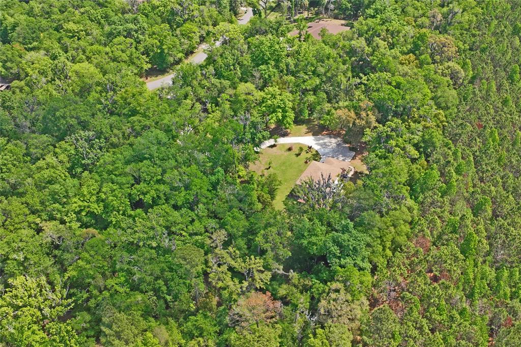 20424 Marguerite Road Brooksville, FL 34601 - Photo 84 of 91