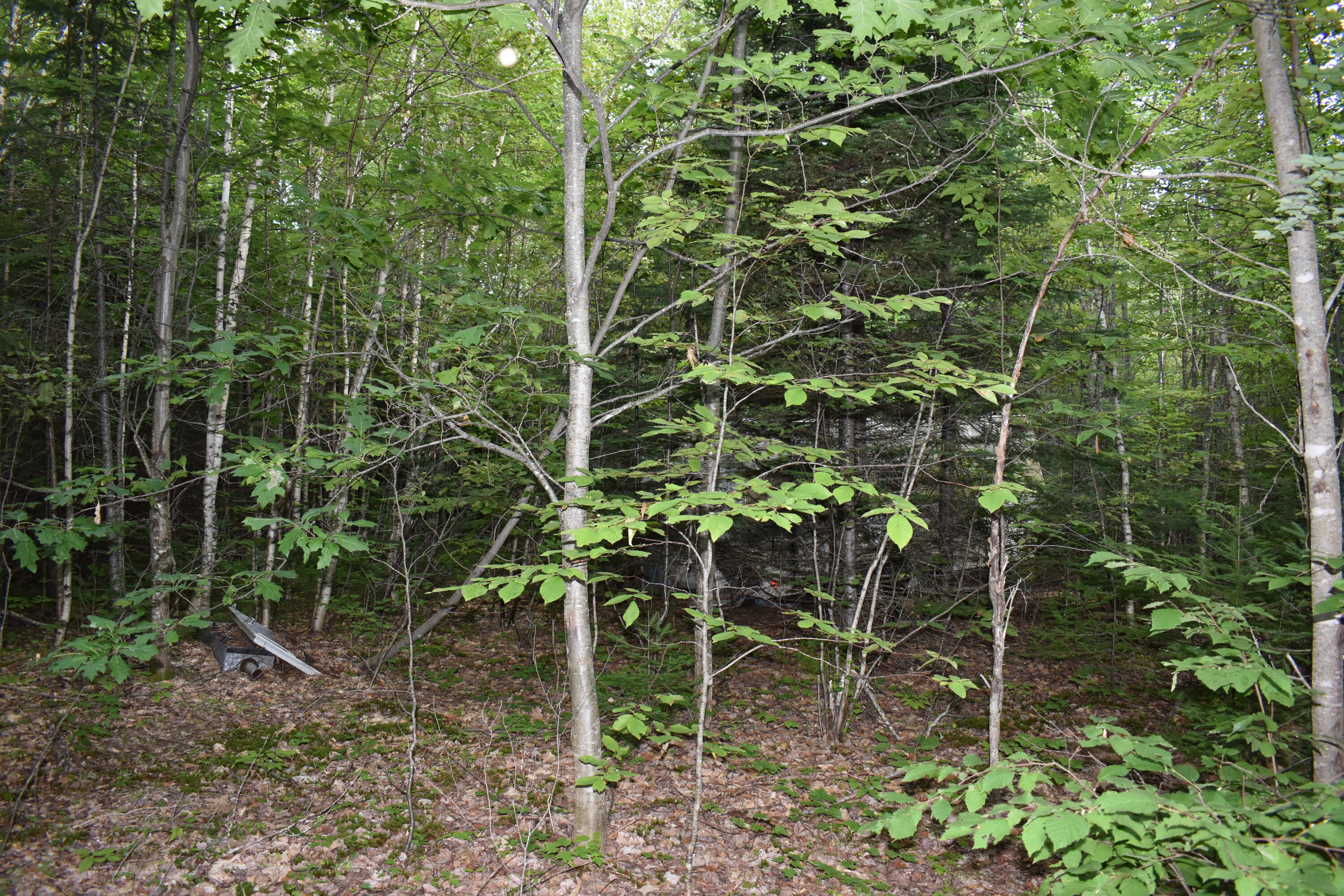Off Dill Valley Road Lakeville, ME 04487 - Photo 11 of 11 DSC_0018
