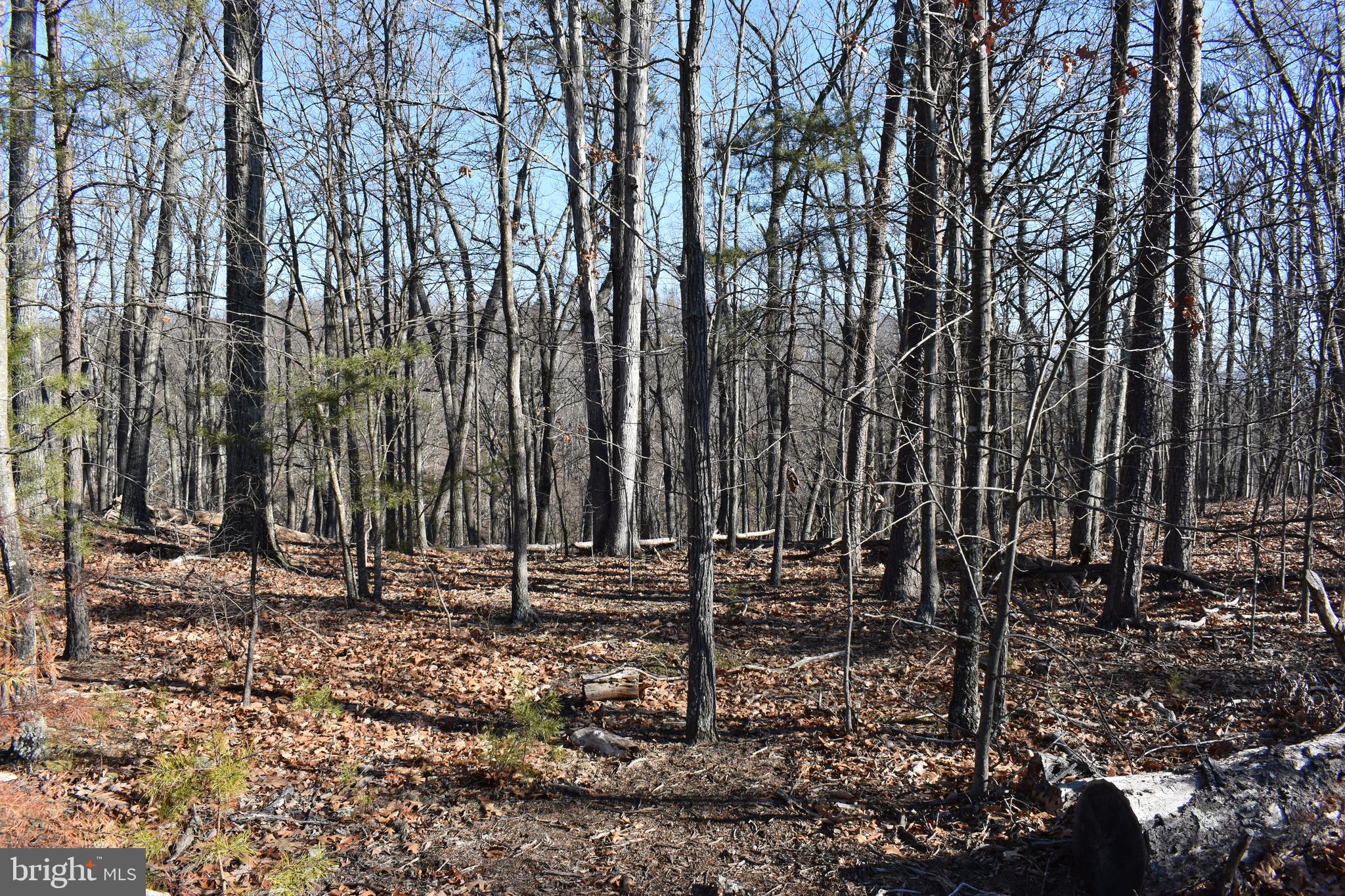 Lot 21 Fable Road Hedgesville, WV 25427 - Photo 11 of 20 Gallery Image 11