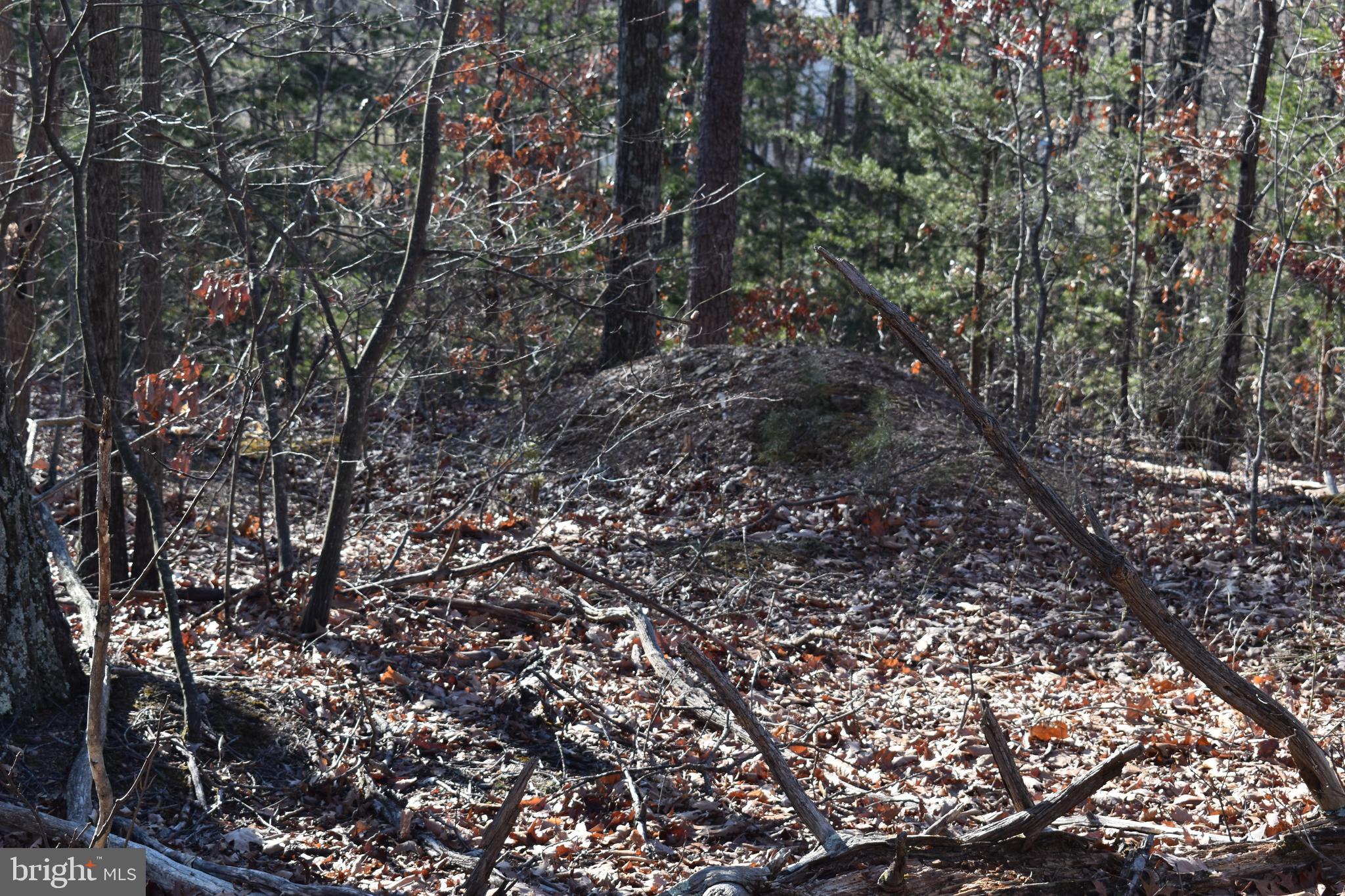 Lot 21 Fable Road Hedgesville, WV 25427 - Photo 13 of 20 Gallery Image 13