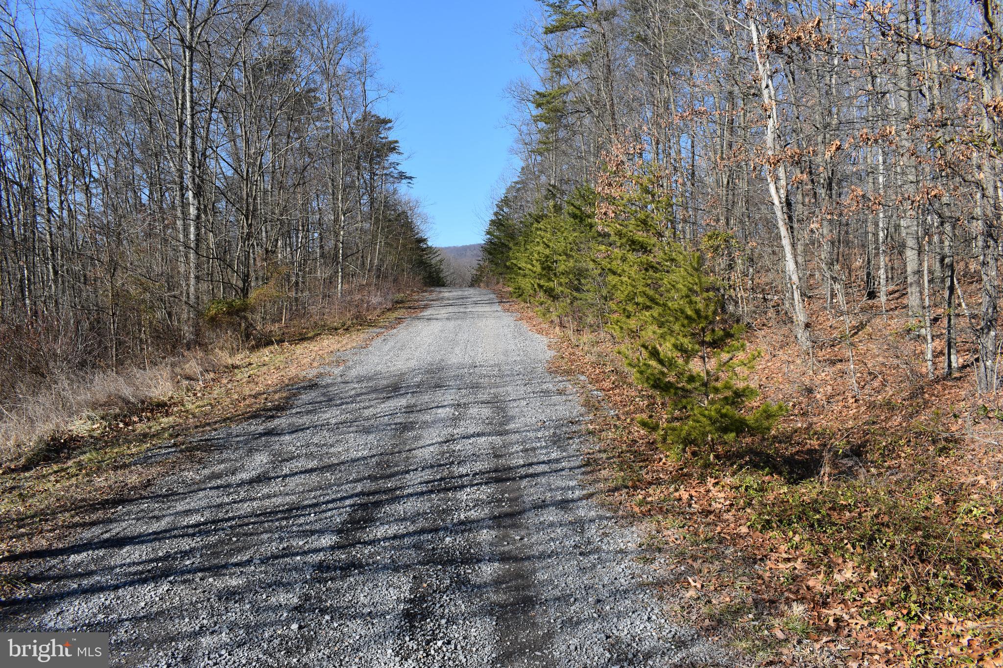 Lot 21 Fable Road Hedgesville, WV 25427 - Photo 4 of 20 Gallery Image 4