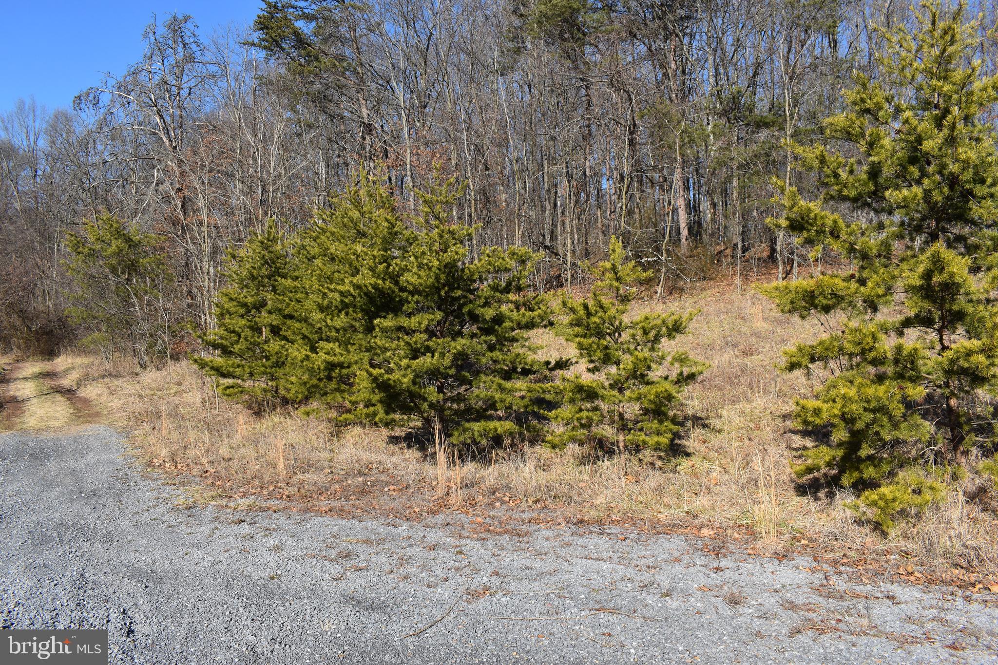 Lot 21 Fable Road Hedgesville, WV 25427 - Photo 6 of 20 Gallery Image 6