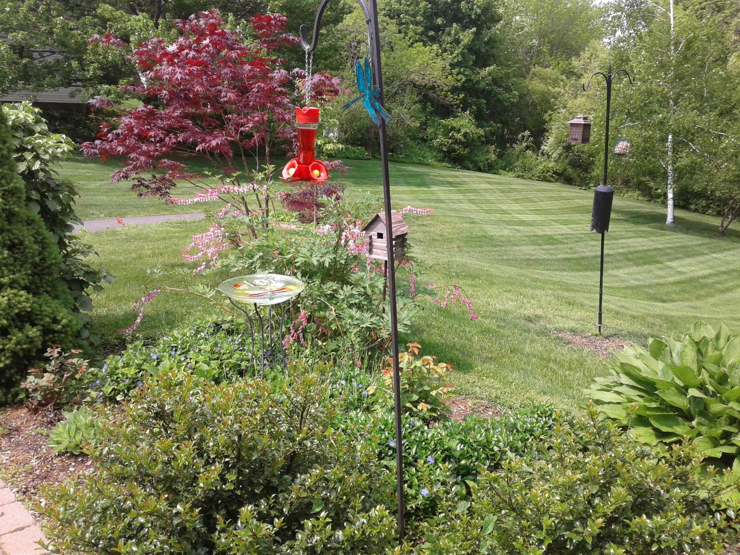 65 Rogers Road Kittery, ME 03904 - Photo 40 of 45 Backyard During Summer
