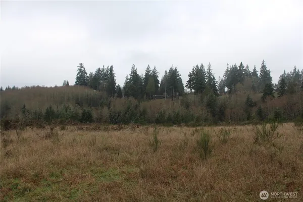 a view of a field with trees in background