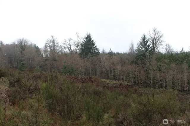 a view of a yard with a tree