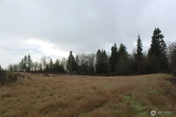 a view of a field with trees in the background
