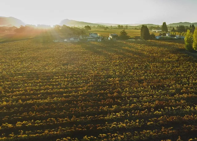 $40,000 | 555 Zinfandel Lane, St. Helena, CA 94574