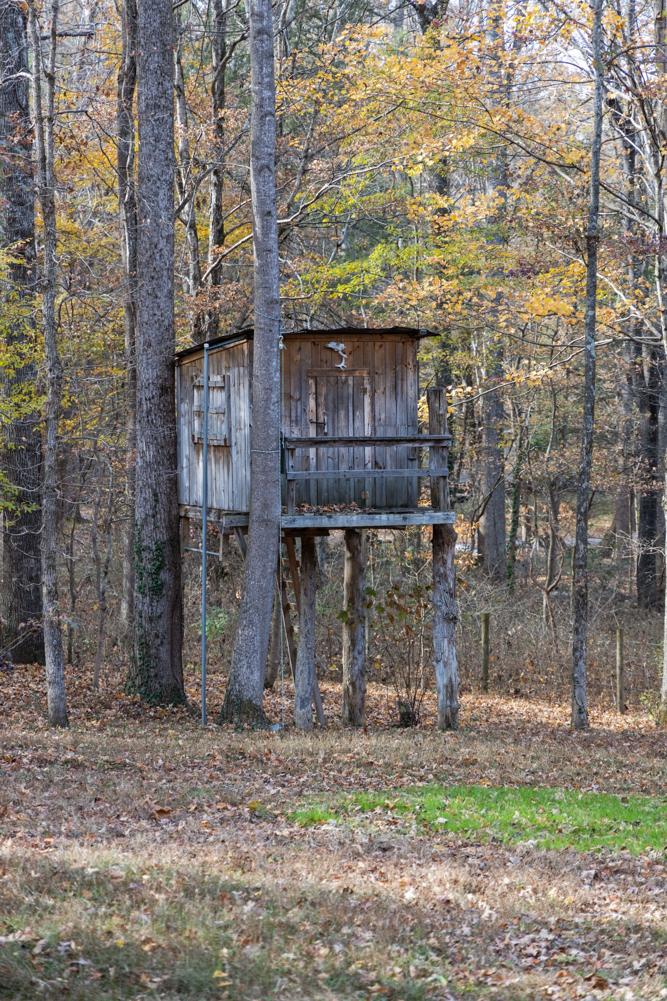 671 Salem Ridge Road Clarksville, TN 37040 - Photo 8 of 44 a brick building with a tree in front of it