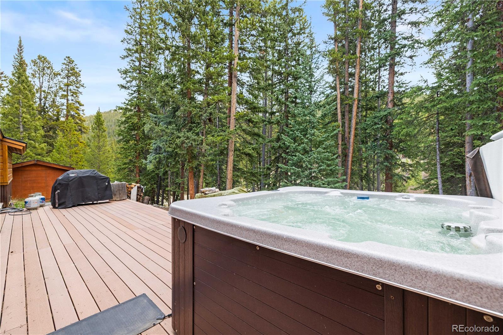 53 Rena Road Breckenridge, CO 80424 - Photo 34 of 39