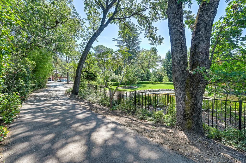 3557 Val Verde Road Loomis, CA 95650 - Photo 68 of 71 a view of a yard with large trees