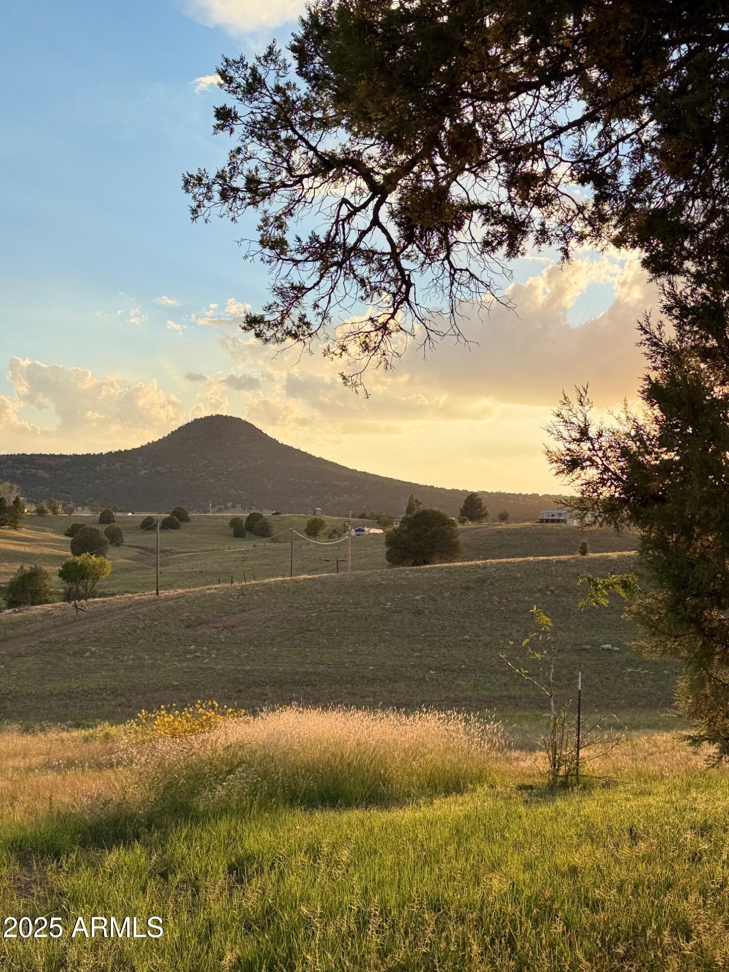 507 Baker Ranch Road Young, AZ 85554 - Photo 49 of 64 IMG_8991