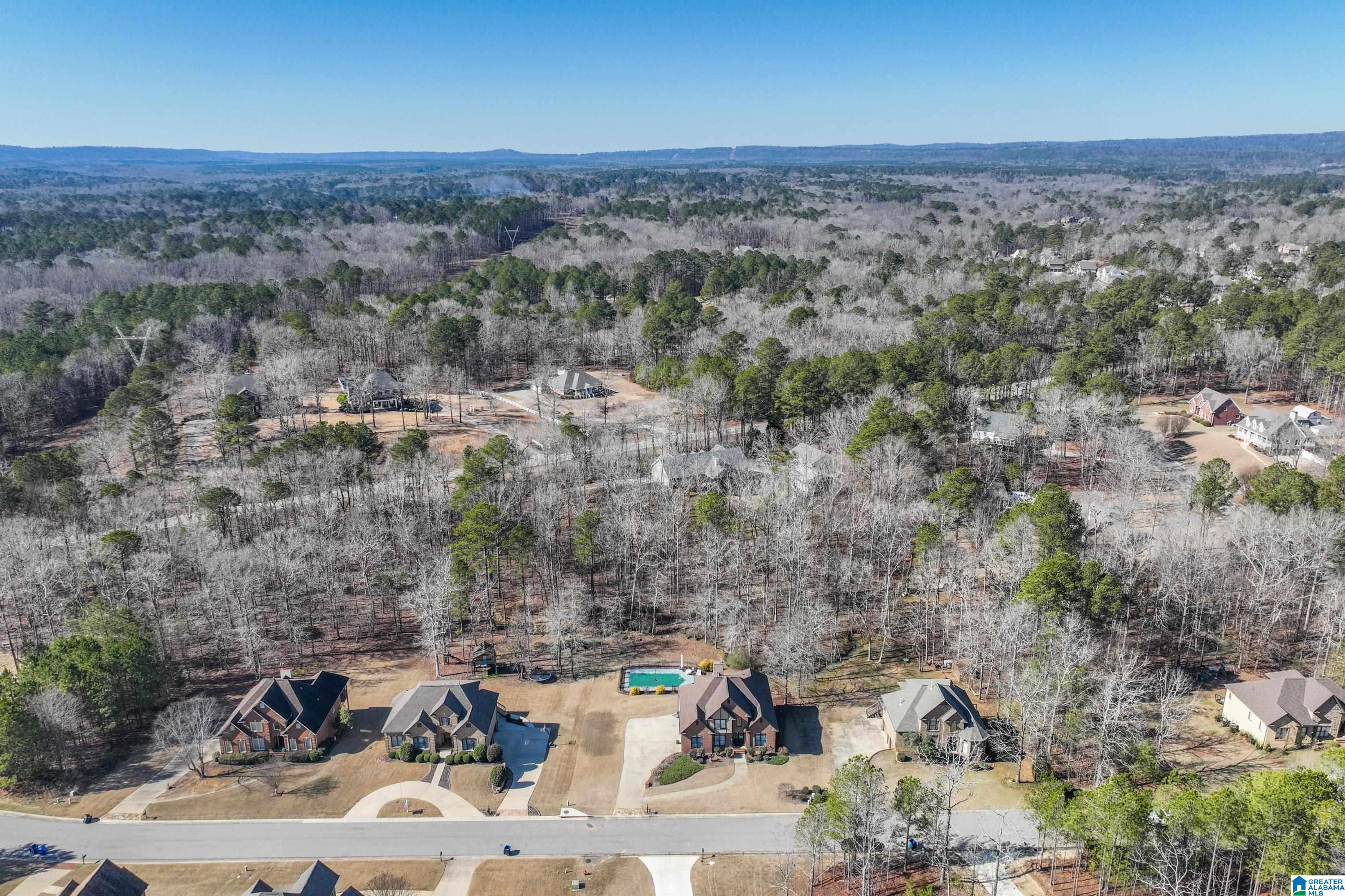 512 Baron Circle Chelsea, AL 35043 - Photo 79 of 81
