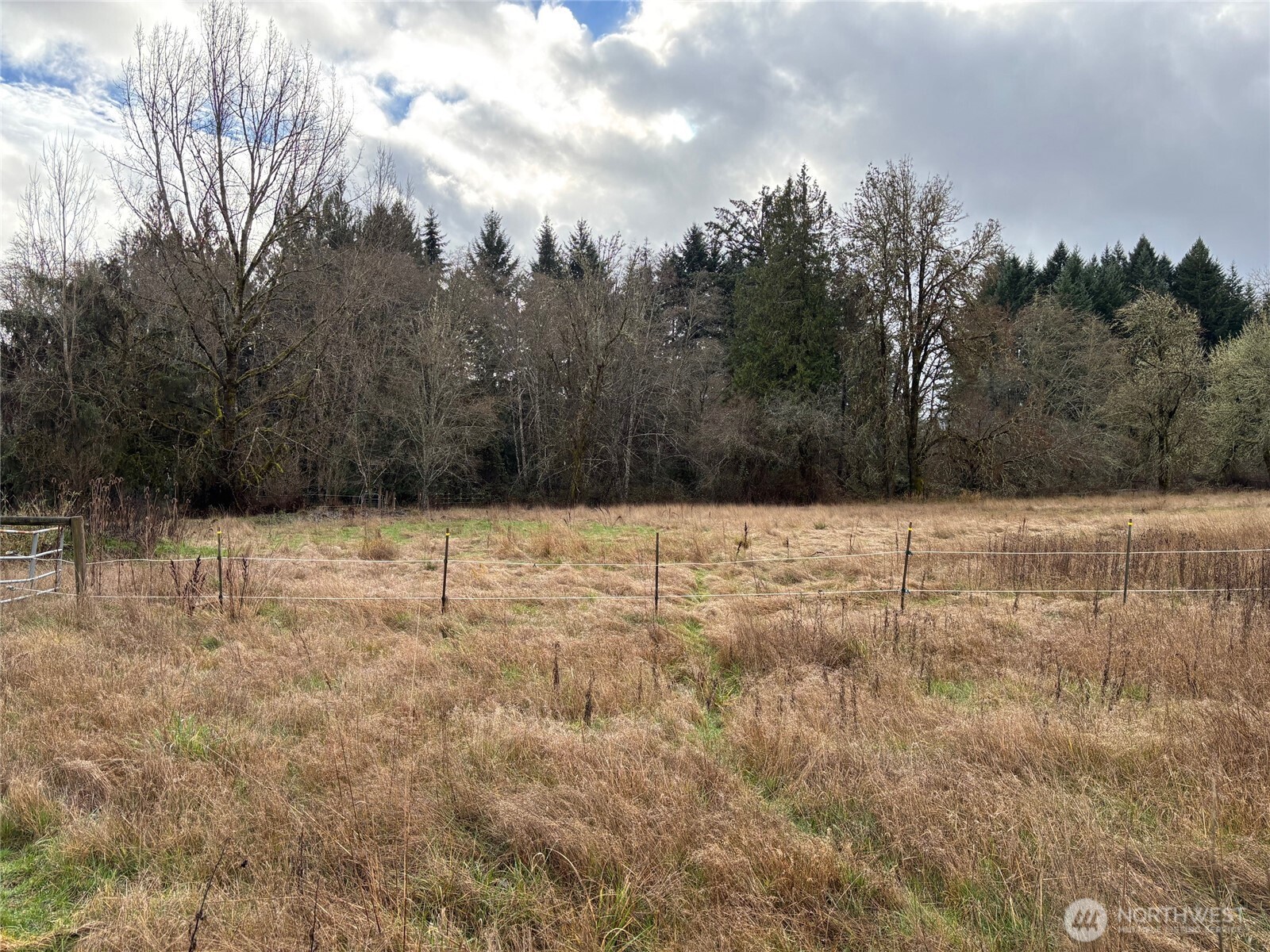 0 Byham Road Winlock, WA 98596 - Photo 2 of 8 a view of covered with snow