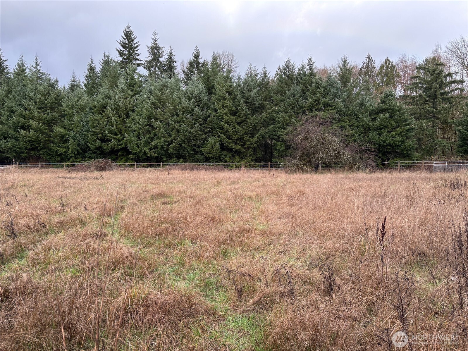 0 Byham Road Winlock, WA 98596 - Photo 3 of 8 a view of a yard with a tree