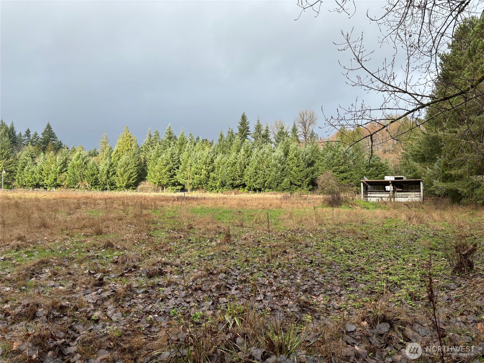 0 Byham Road Winlock, WA 98596 - Photo 4 of 8 a view of lake with green space