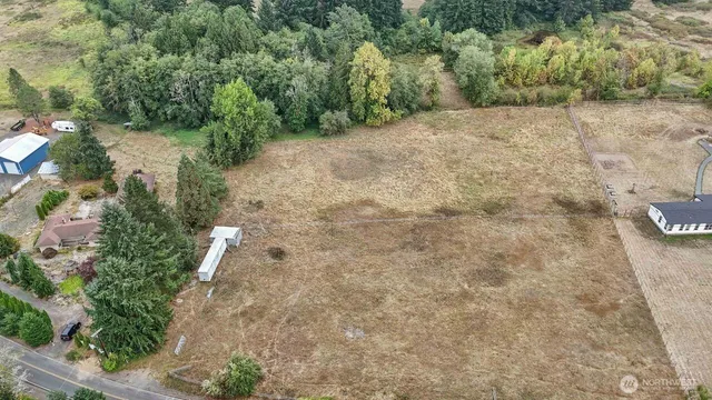 a view of a yard with plants and large trees