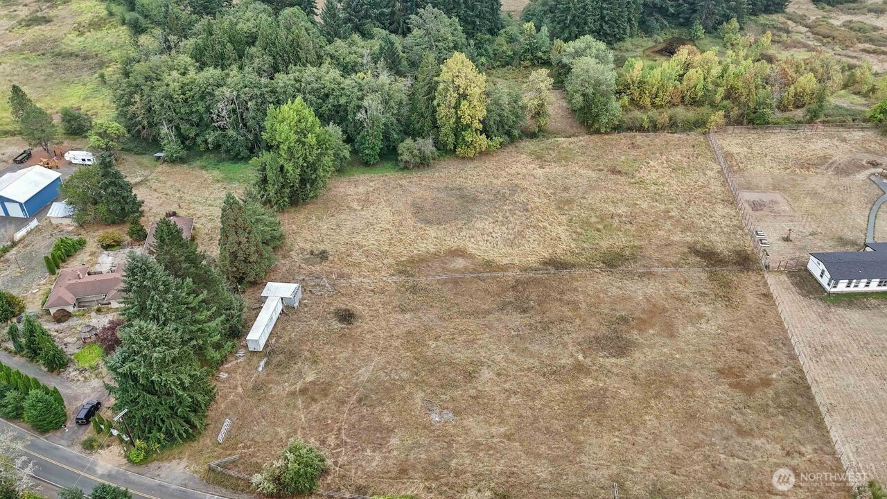0 Byham Road Winlock, WA 98596 - Photo 7 of 8 a view of a yard with plants and large trees