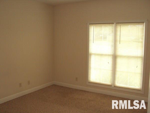 1705 North Smith Avenue Marion, IL 62959 - Photo 18 of 18