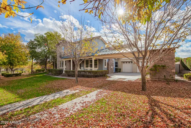 a view of a yard with a large tree