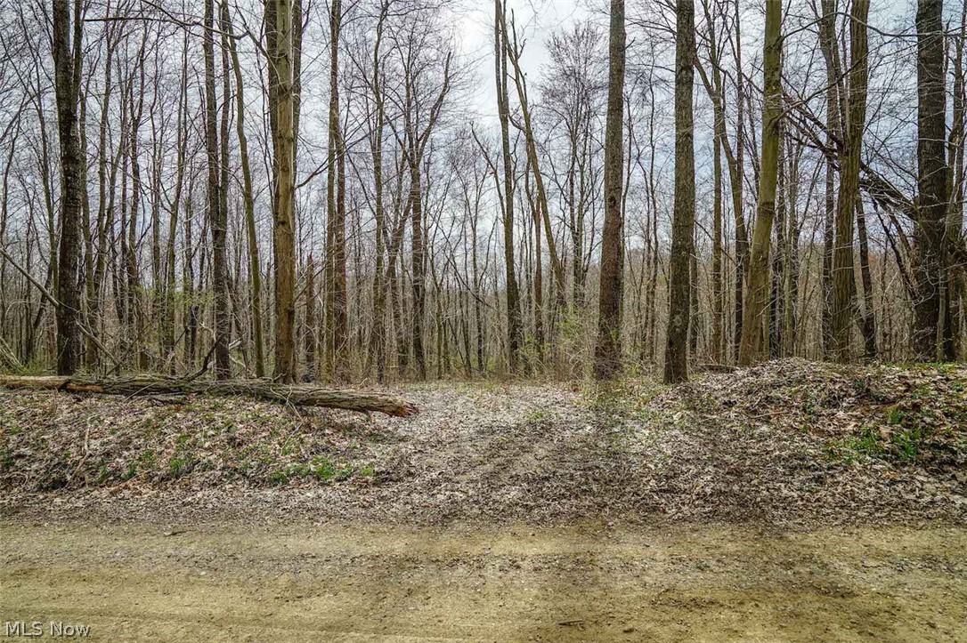 Clary Road Kimbolton, OH 43749 - Photo 11 of 29