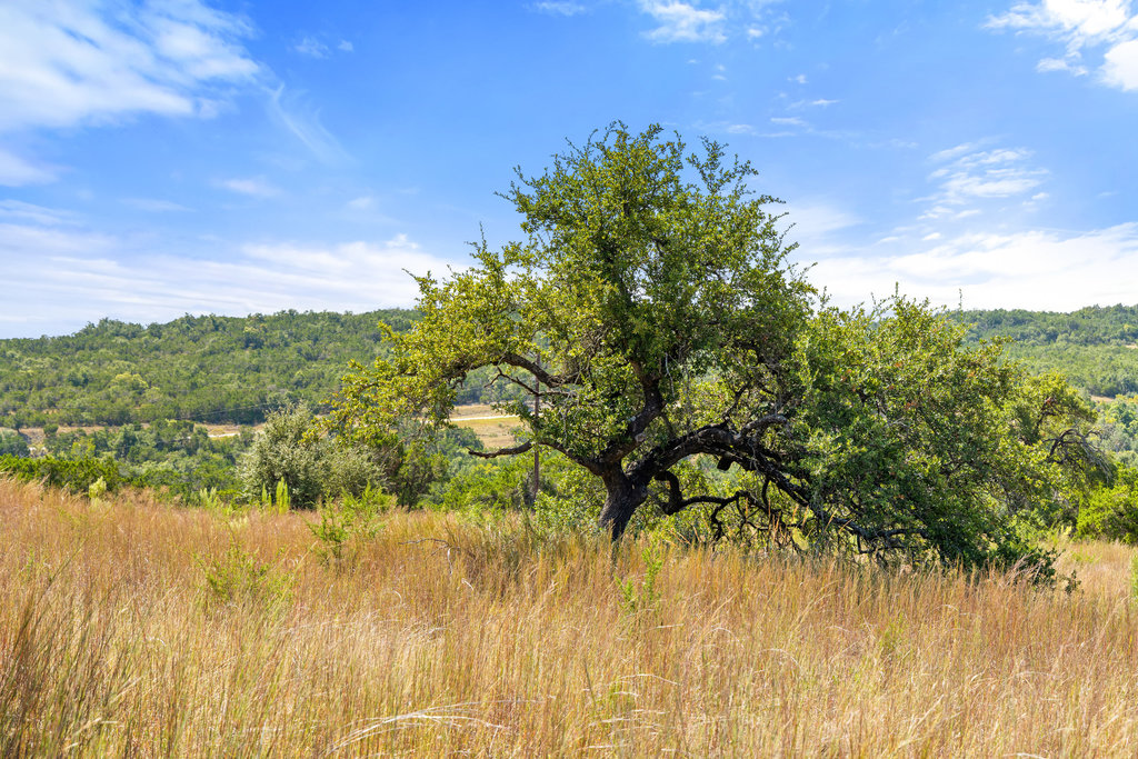 5818 Ranch Road 165 Blanco, TX 78606 - Photo 20 of 31 a view of a lake with a trees in the background
