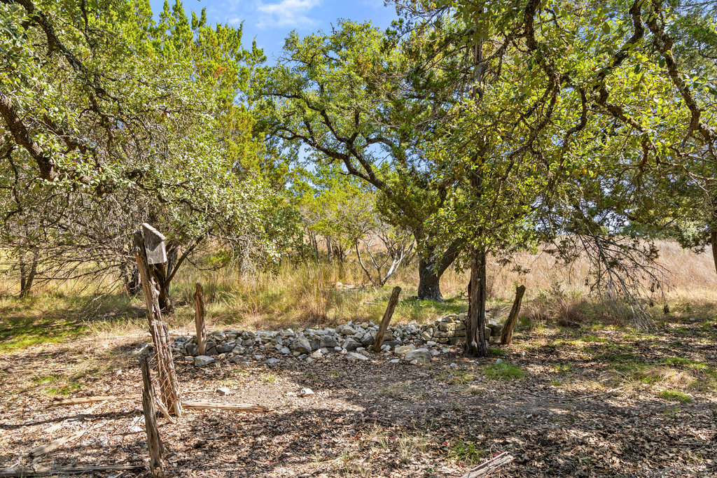 5818 Ranch Road 165 Blanco, TX 78606 - Photo 23 of 31 a view of a tree
