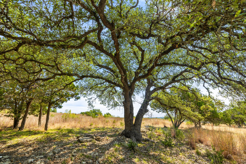 5818 Ranch Road 165 Blanco, TX 78606 - Photo 26 of 31 a view of lake view