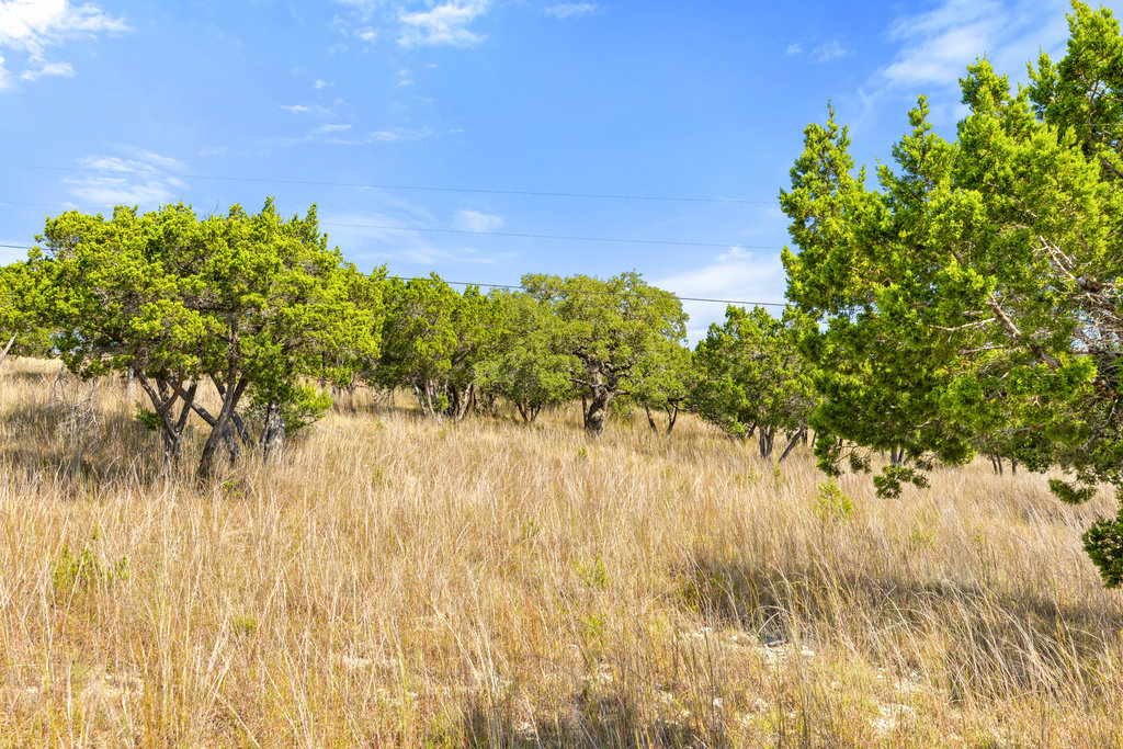 5818 Ranch Road 165 Blanco, TX 78606 - Photo 29 of 31 a view of a lake with a tree in the background