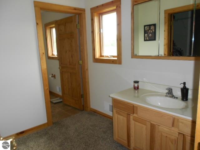 4461 North Waldron Road Edmore, MI 48829 - Photo 22 of 40 1785699-21.JPG