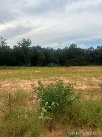 $135,000 | Lot 14 Mullholland Drive, Enterprise, AL 36330