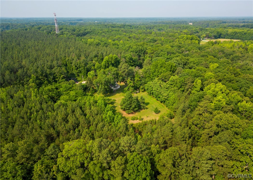 12738 Old Ridge Road Beaverdam, VA 23015 - Photo 42 of 43 Gallery Image 42