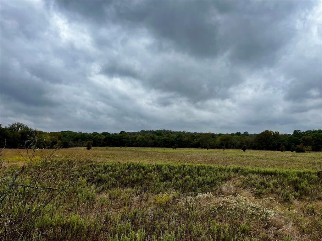 2 Flat Rock Road Azle, TX 76020 - Photo 11 of 13 a view of outside space with mountain in background
