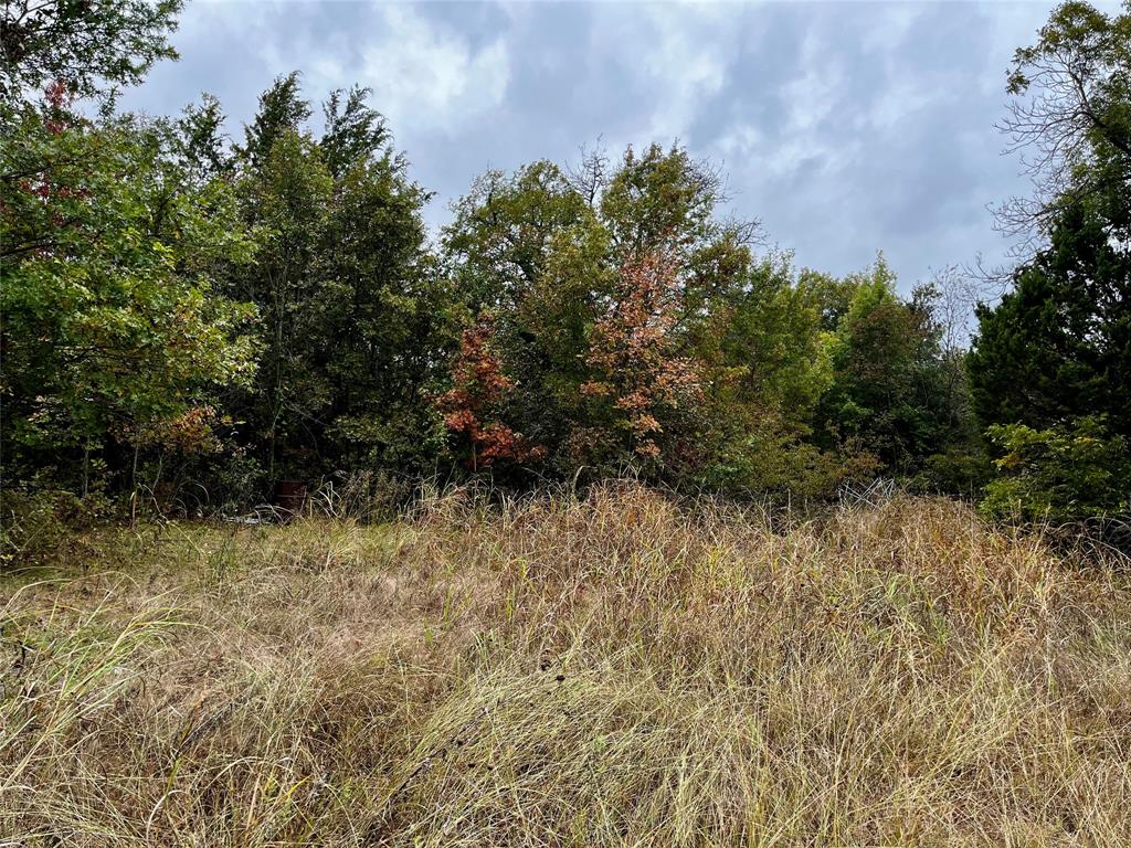 2 Flat Rock Road Azle, TX 76020 - Photo 13 of 13 a view of a yard