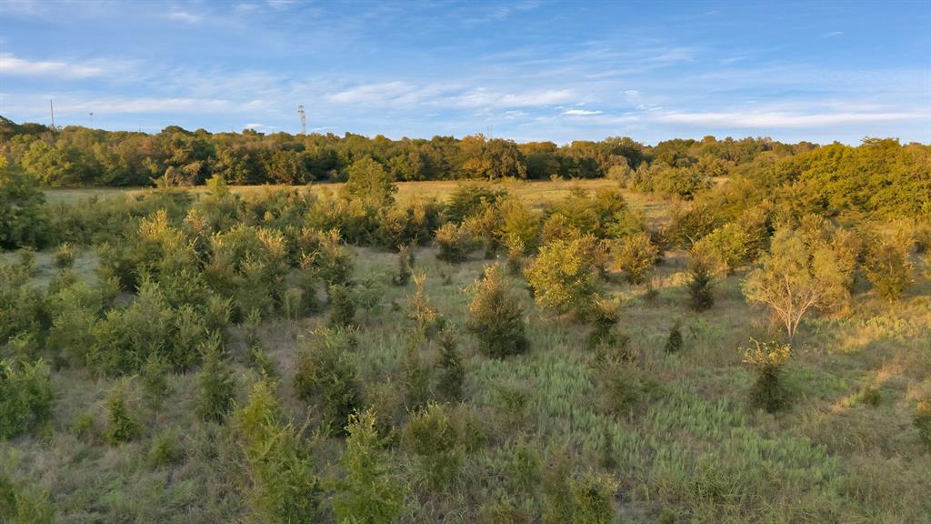 2 Flat Rock Road Azle, TX 76020 - Photo 5 of 13 a view of a city
