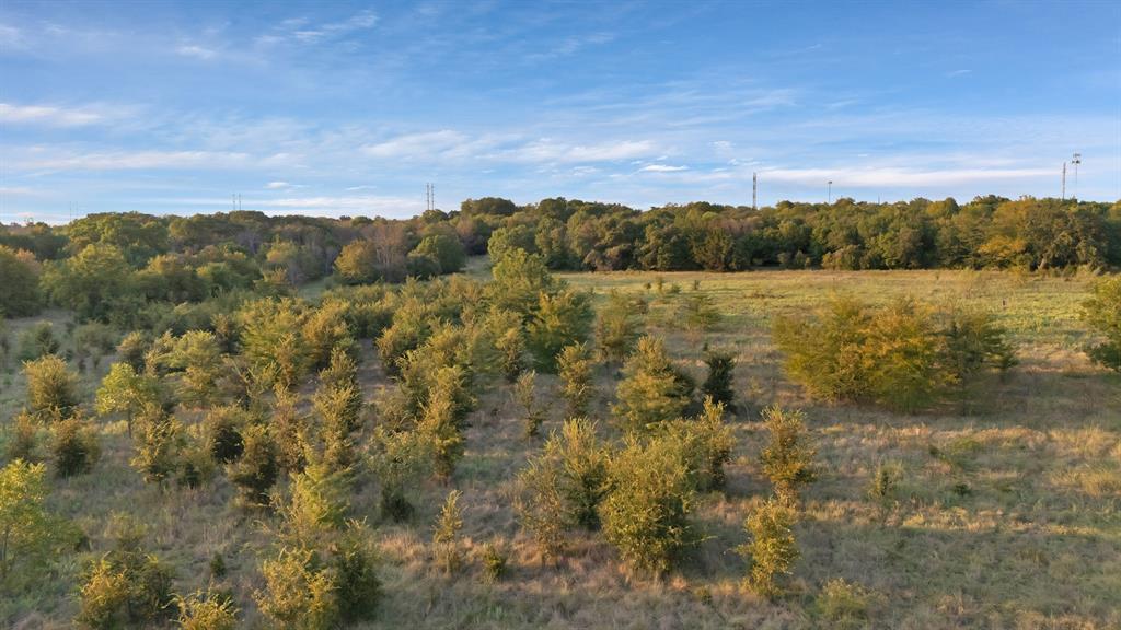 2 Flat Rock Road Azle, TX 76020 - Photo 6 of 13 a view of lake with mountain
