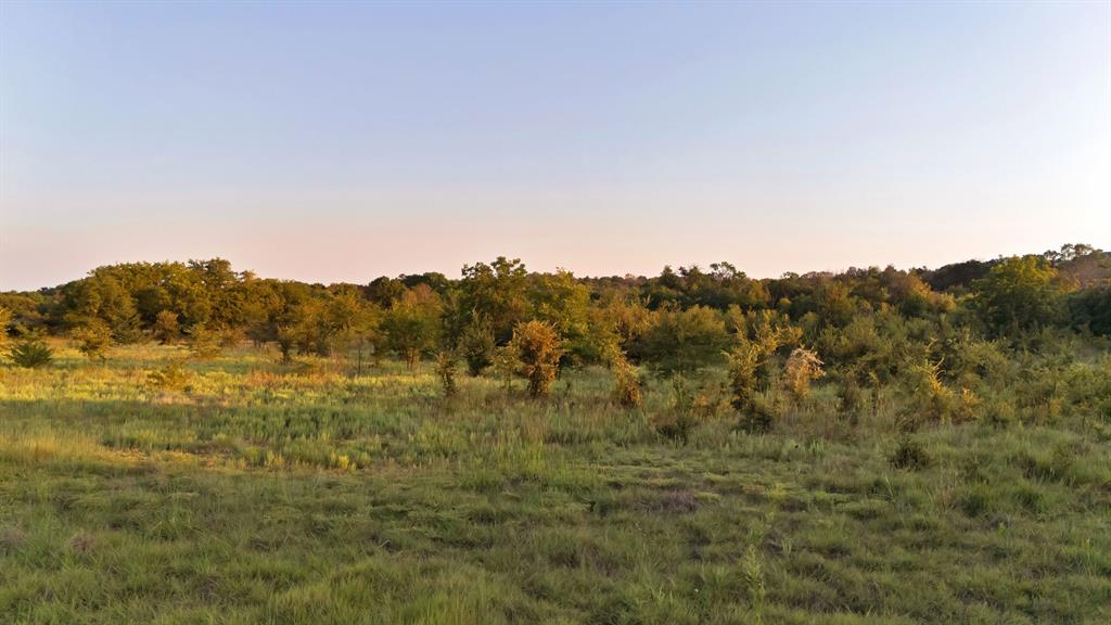 2 Flat Rock Road Azle, TX 76020 - Photo 8 of 13