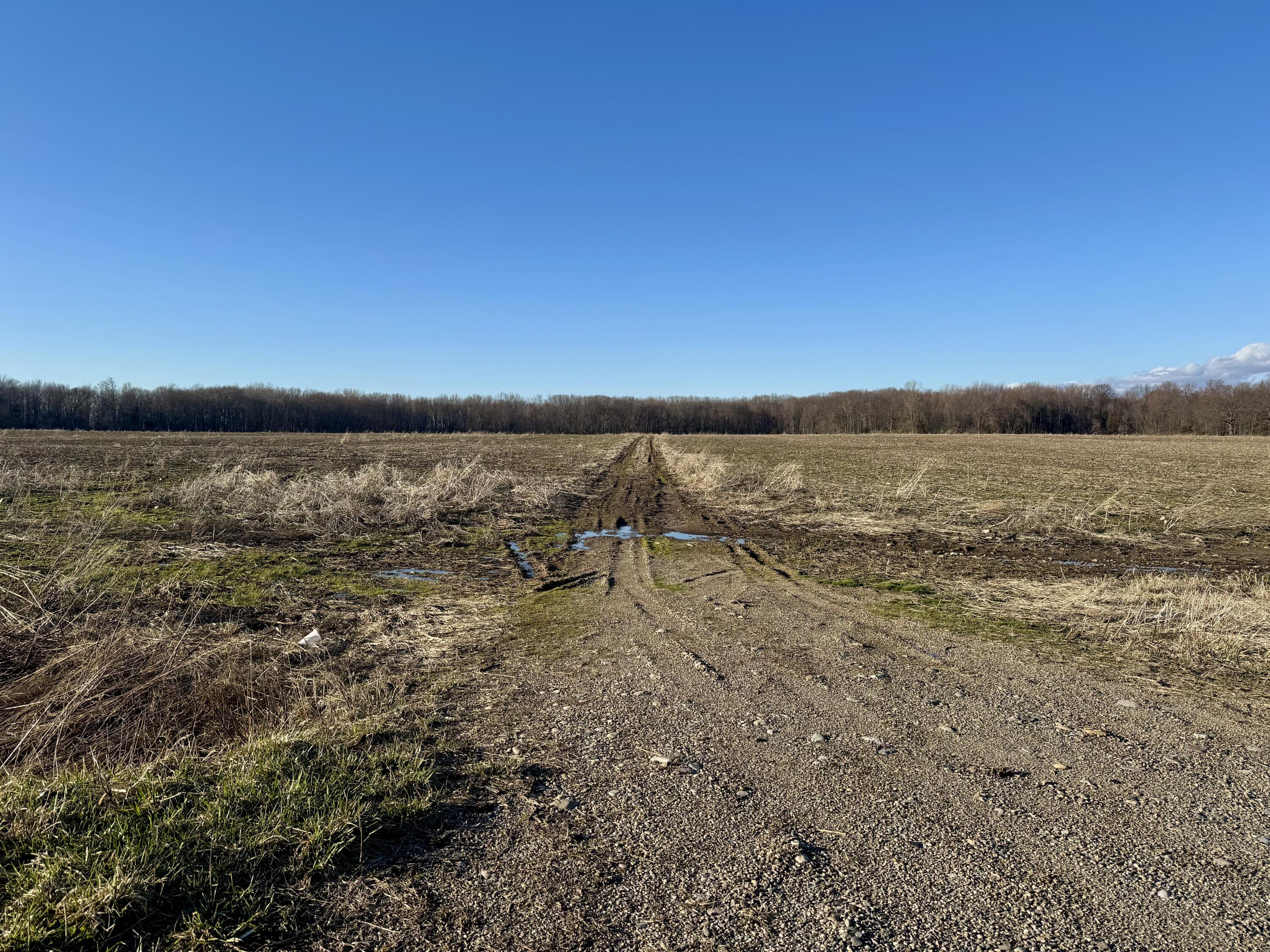 102 West Central Road Coldwater, MI 49036 - Photo 45 of 73 IMG_6891