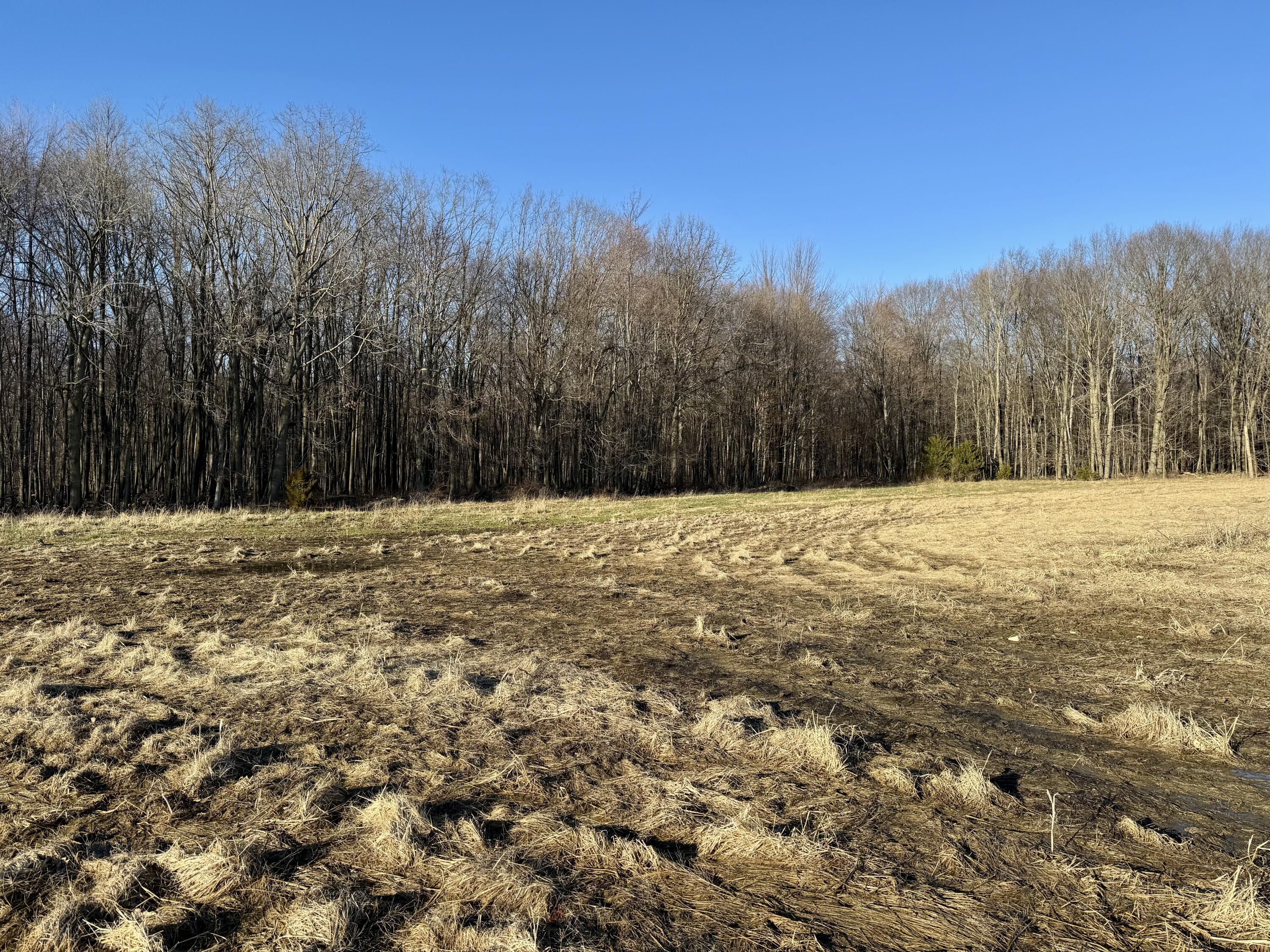 102 West Central Road Coldwater, MI 49036 - Photo 46 of 73 IMG_6902