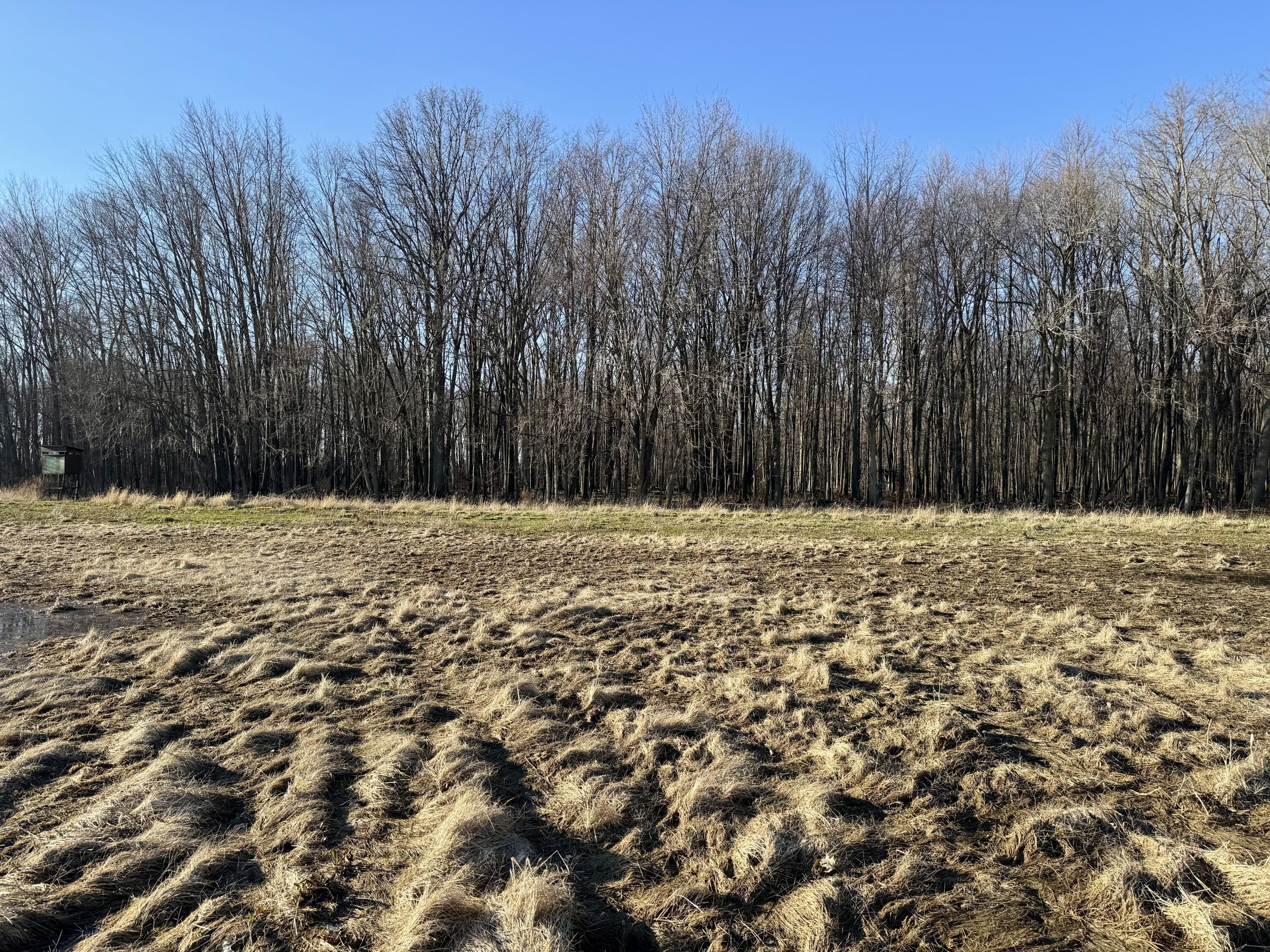 102 West Central Road Coldwater, MI 49036 - Photo 47 of 73 IMG_6901