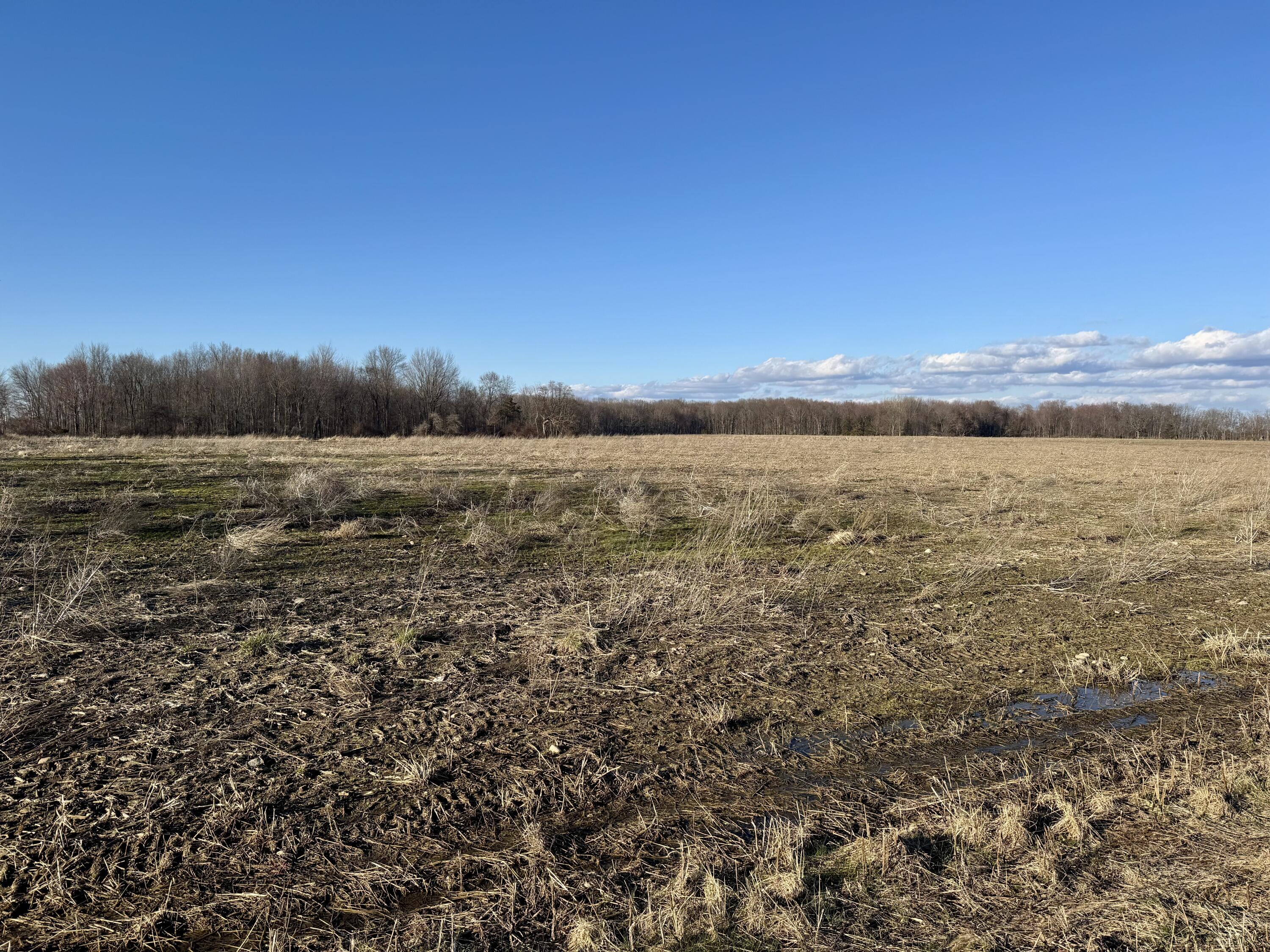 102 West Central Road Coldwater, MI 49036 - Photo 48 of 73 IMG_6894