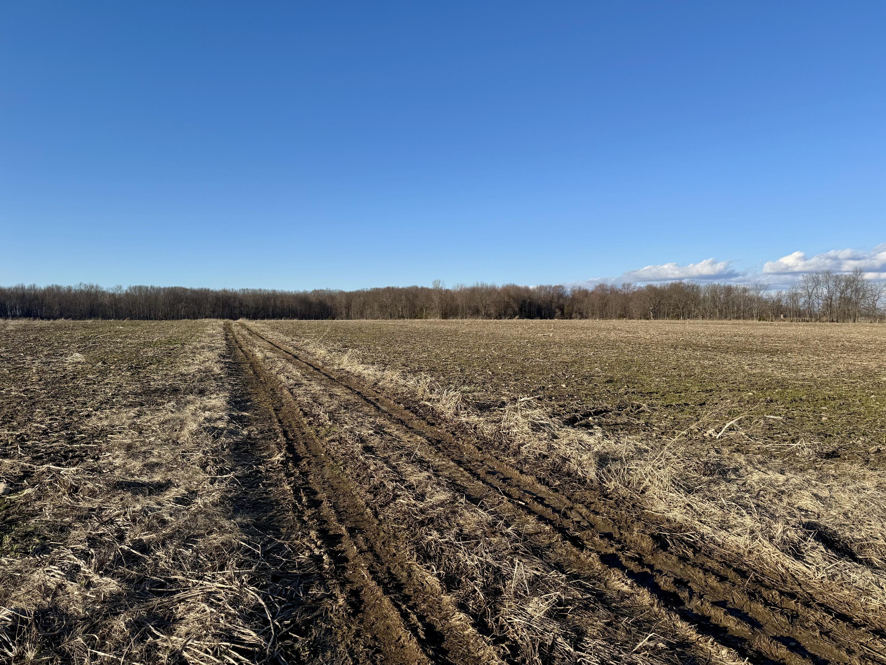 102 West Central Road Coldwater, MI 49036 - Photo 49 of 73 IMG_6896