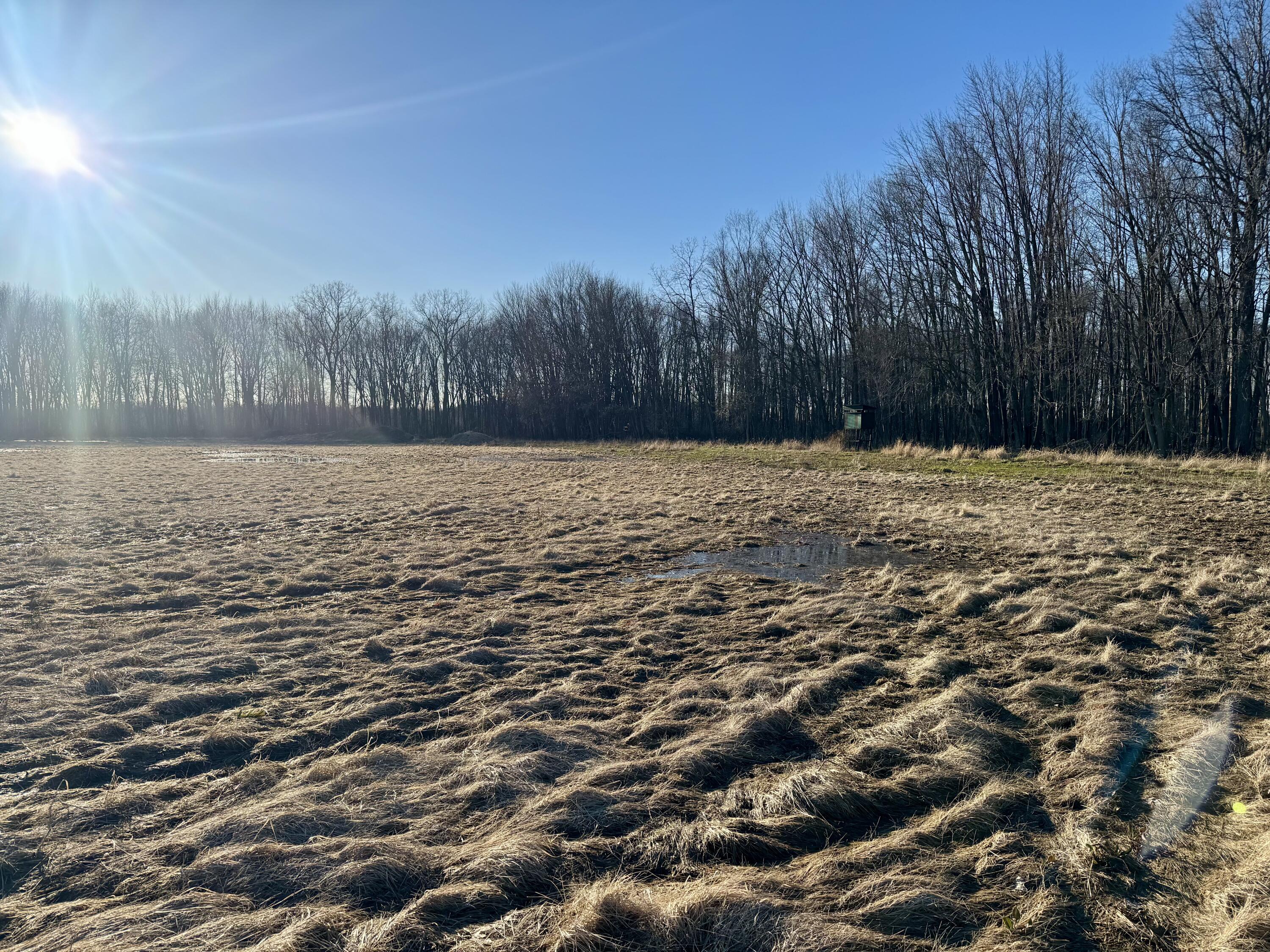 102 West Central Road Coldwater, MI 49036 - Photo 50 of 73 IMG_6900