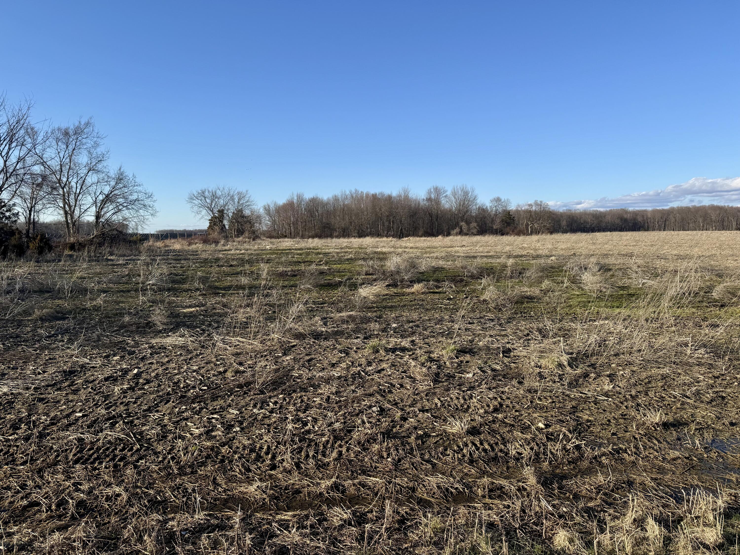 102 West Central Road Coldwater, MI 49036 - Photo 51 of 73 IMG_6893